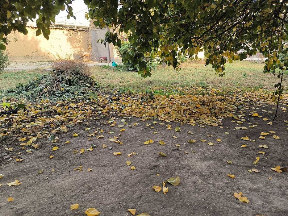 Sotiladi 2.36 sotix (236 m2) xovli Burata, Qibray, Kibray. 1 liniya.