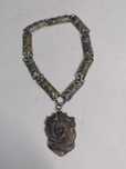 Lant si medalion ofiter german WW2