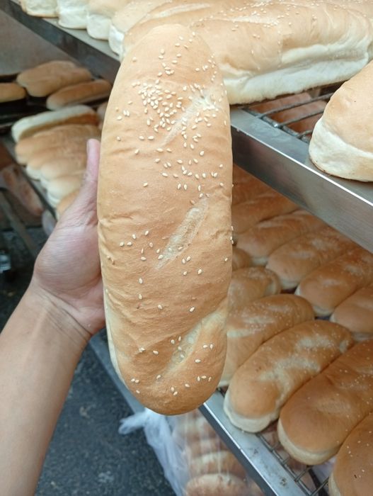 Hoddog va gamburger nonlari sifatli mahsulotlar hammasi bizda mavjud