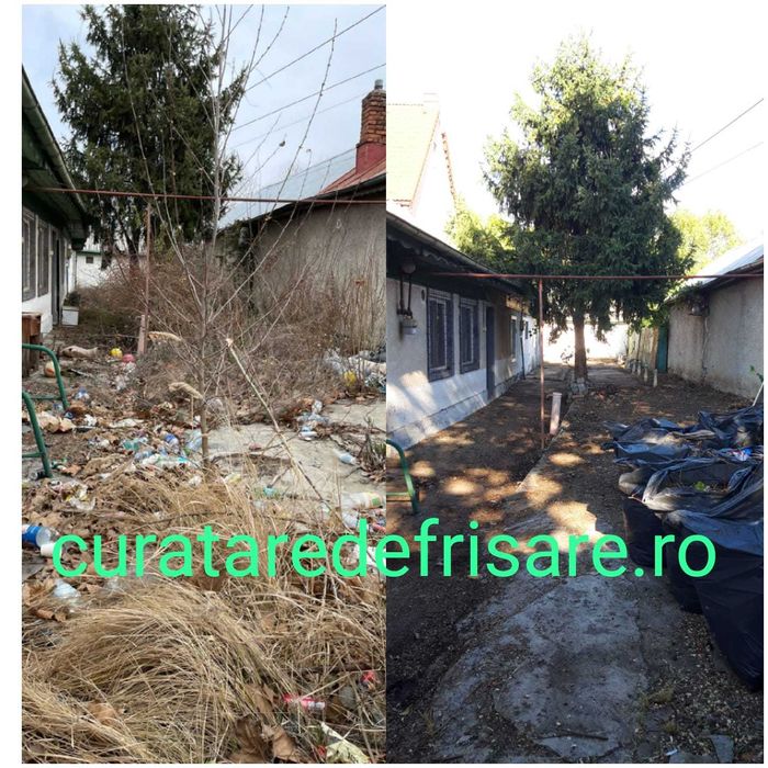 Curatare eliminare vegetatie / Defrisare terenuri / Tocare crengi