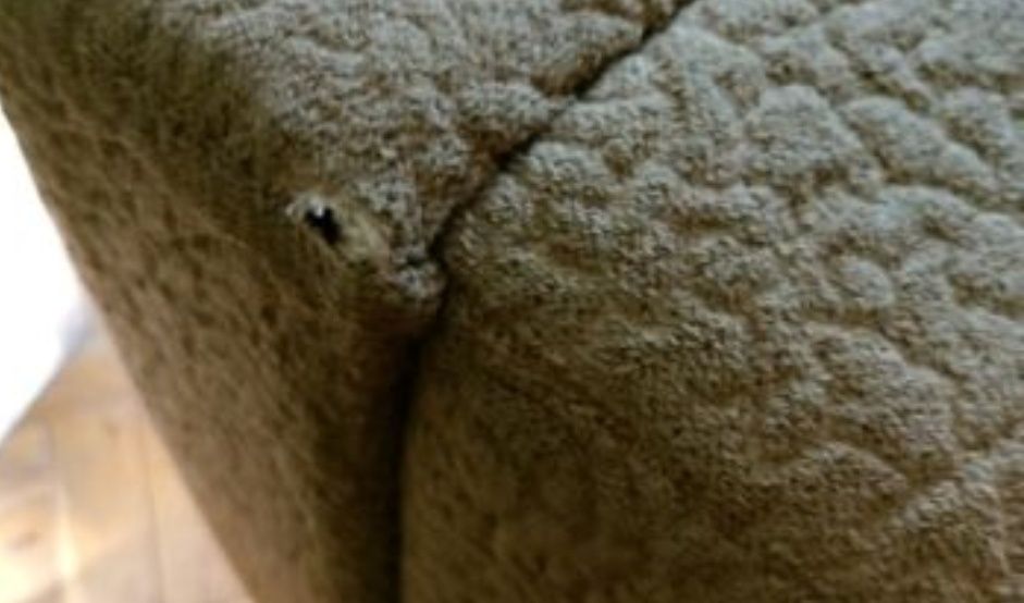 Табуретки - два броя.