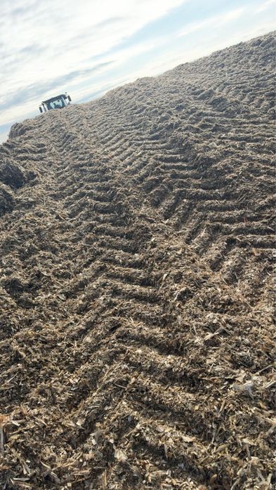 Baloți înfoliați de lucernă și siloz