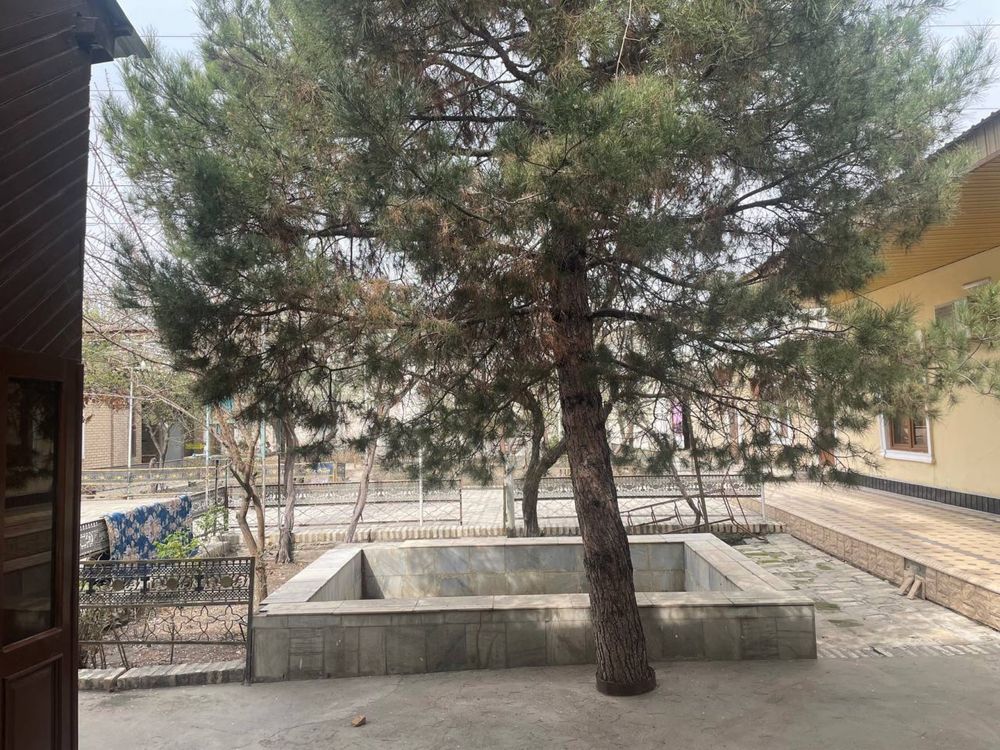 hovli sotiladi 12,5 sotix