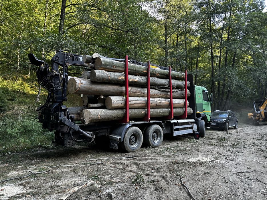 Lemne de foc FAG STEJAR