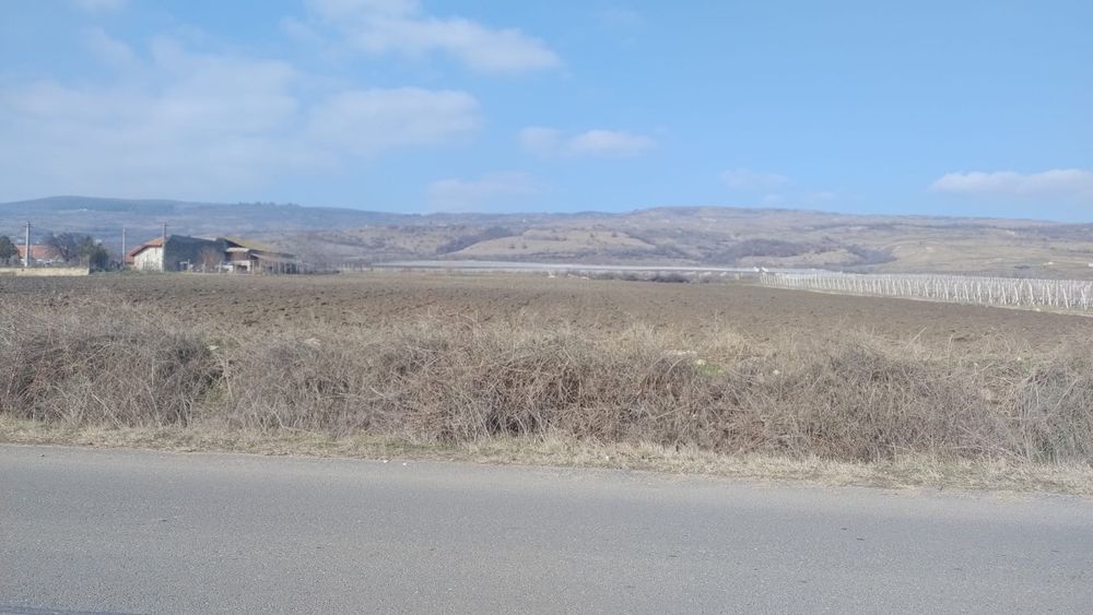 Vand proprietate aflata pe Drumul Vinului in com. Pietroasele, Merei