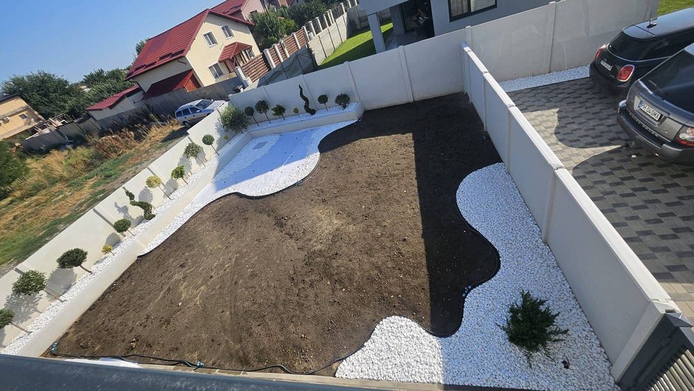 Amenajăm curți gazon rulou sport