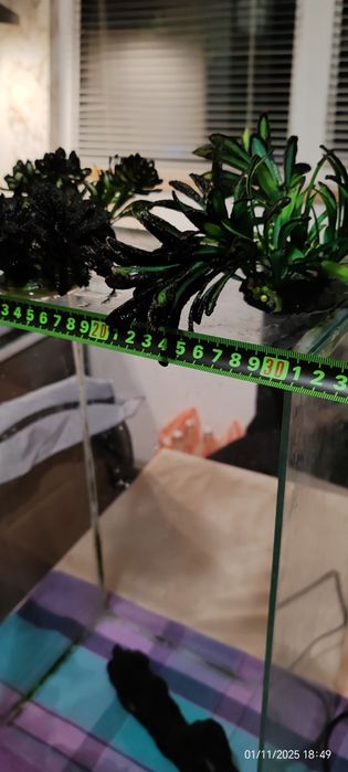 Аквариум 30л с разни водорасли и арка