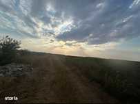 Teren intravilan, 9500 mp, Carcea