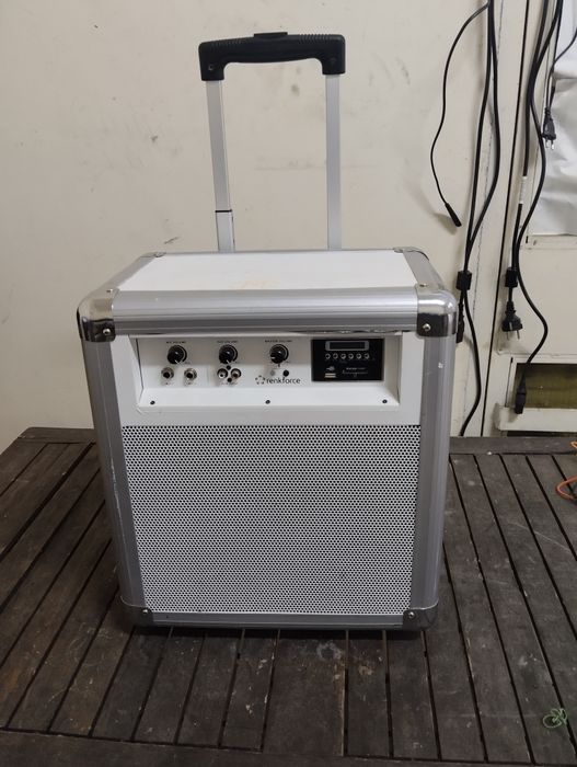 Караоке колона 12 бас renkforse