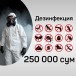 Дезинфекция Dezinfeksiya Уничтожение тараканов клопов Дезинфекция