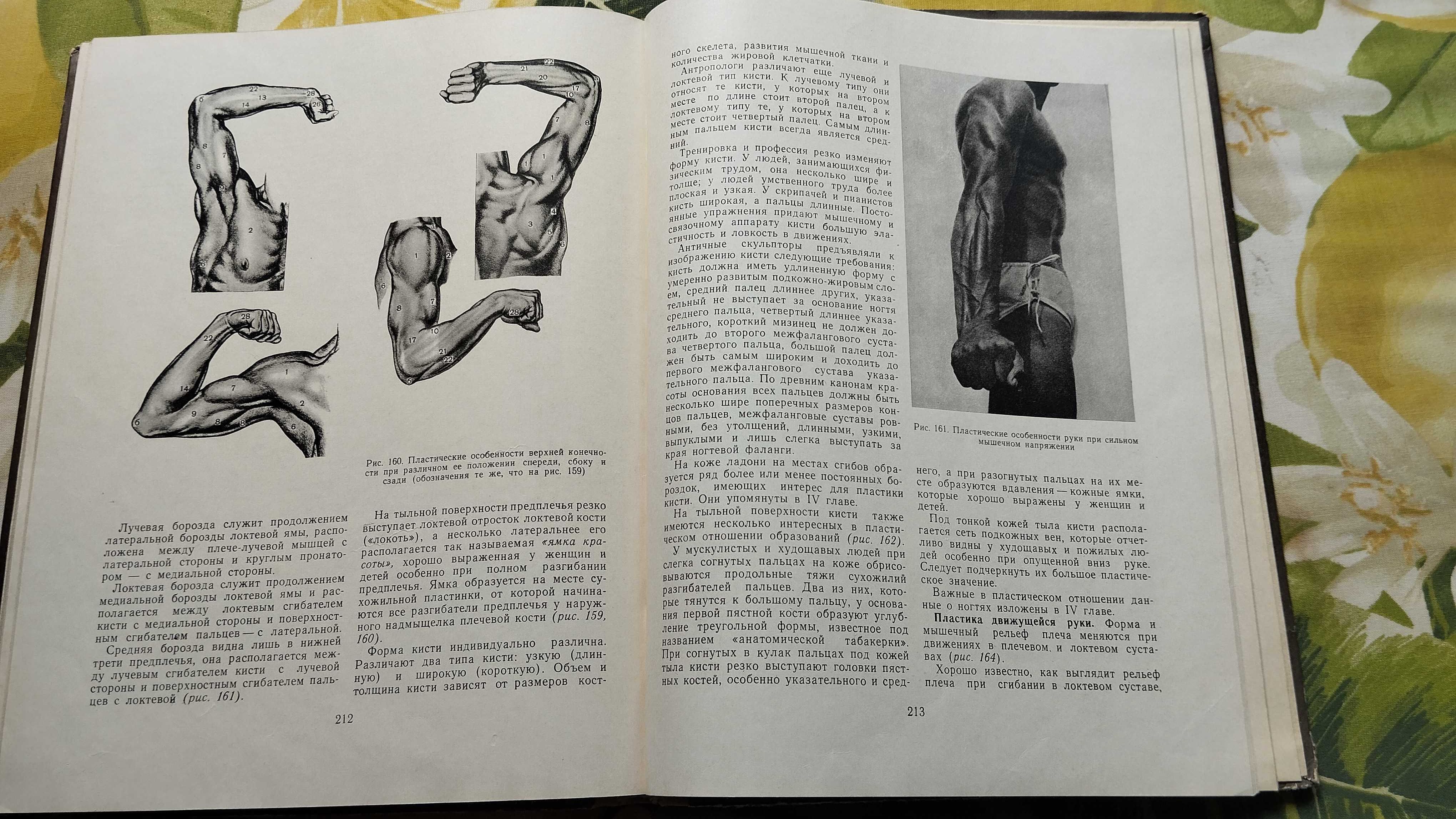 Книги по пластической анатомии, для художников,