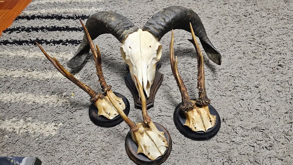 Un Frumos set de 4 panoplii