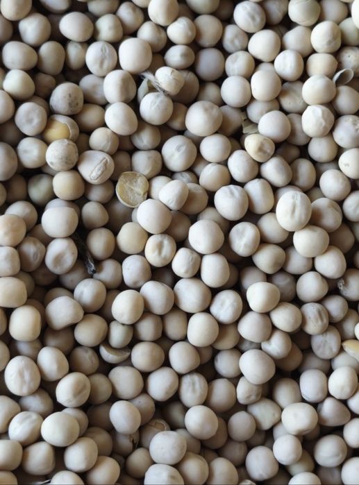 Vand mazare selectata