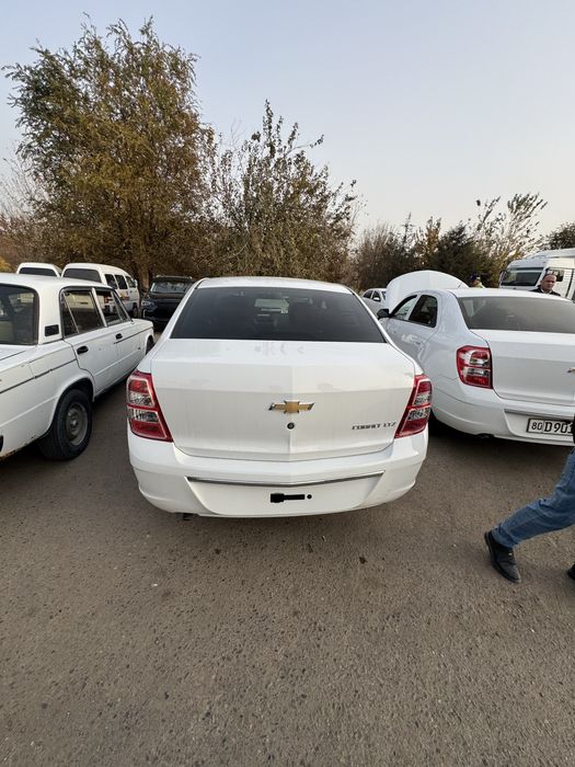 Cobalt stayl 2025 noyabr pachka 12650