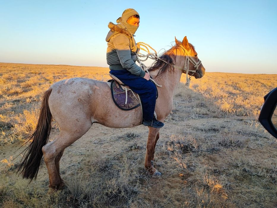 Мінгі Ат сатылады