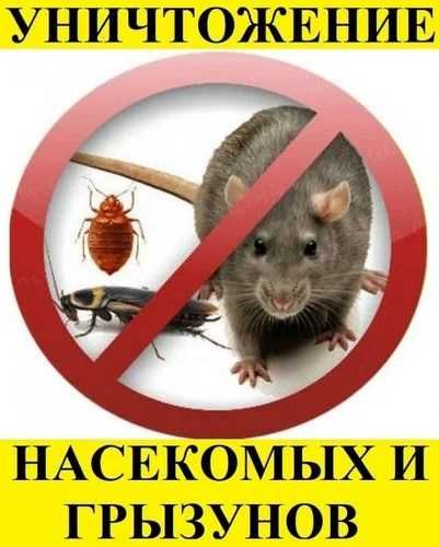 Уничтожение мышей крыс таракан блох клопов кандала Казцик