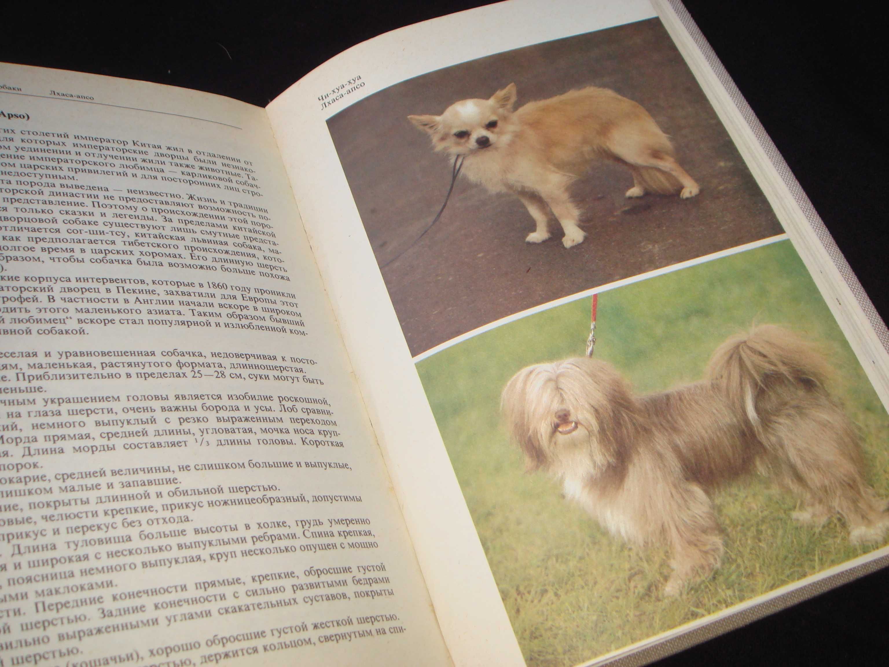 Атлас Собак - Издательство Прага 1980 год - Самое подробное описание .