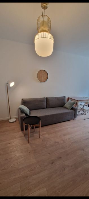 Ofer spre inchiriere apartament cu 1 camera,Campeador City.