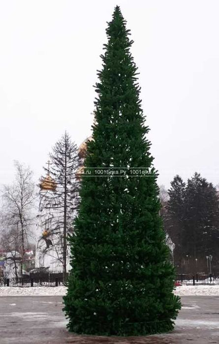 Ёлки на любой вкус цвет и высоту тока у нас от 2метра до 30метра