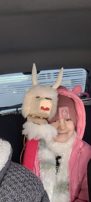 Căpriță pentru  sărbătorile de iarnă