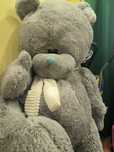 Медведь Teddy 180 см
