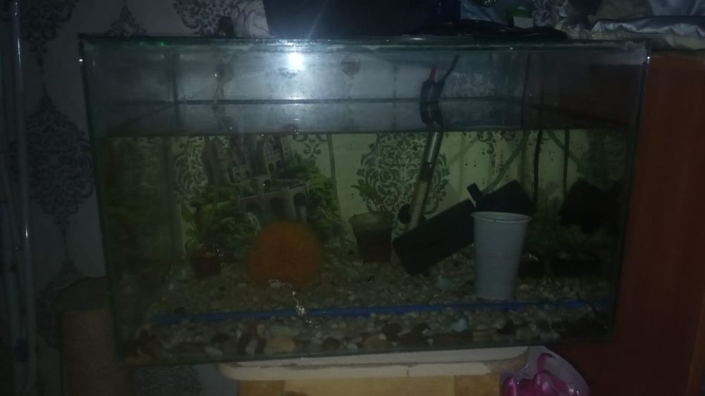 Продам аквариум на 50л