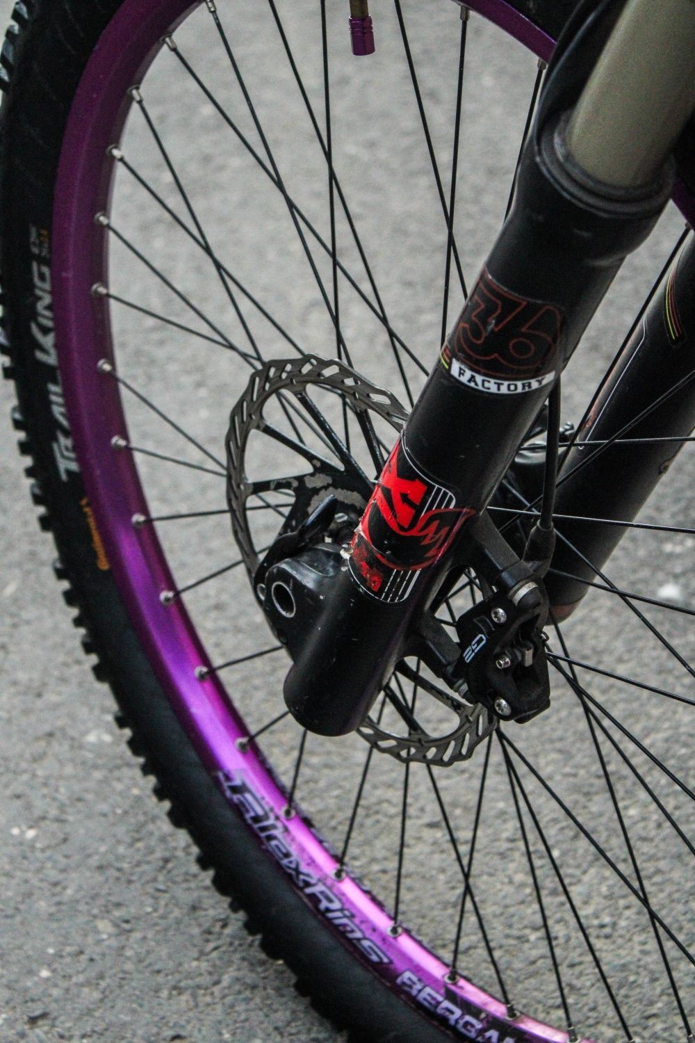 Full suspension bergamont custom