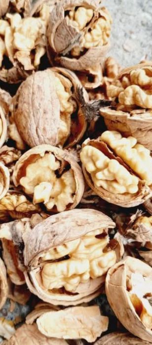 Avem nuci de vânzare de anul acesta 6 Lei kilogramul