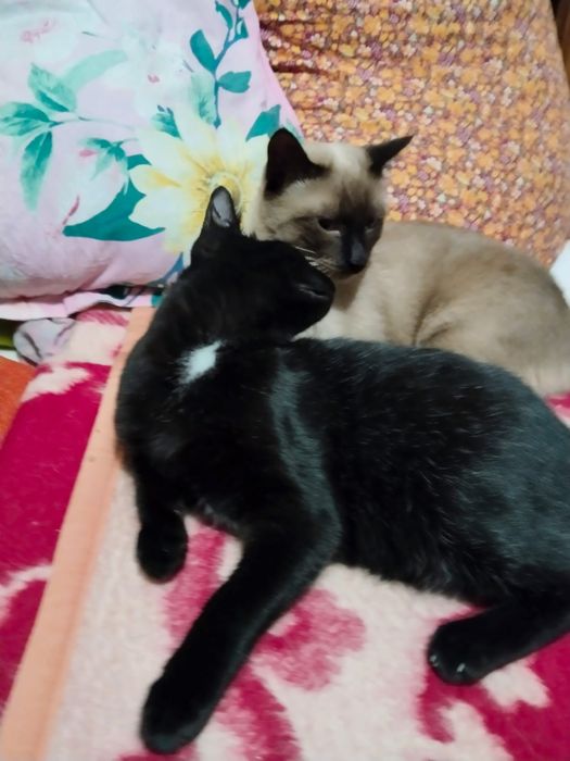 Мальчик 6 месяцев