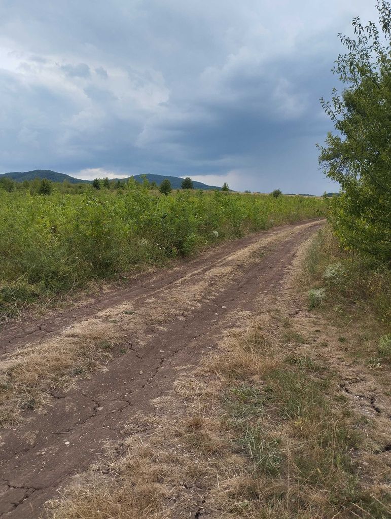 Продава се Парцел в Банкя - 1572 кв.м за 172 €/кв.м - Снимка #2