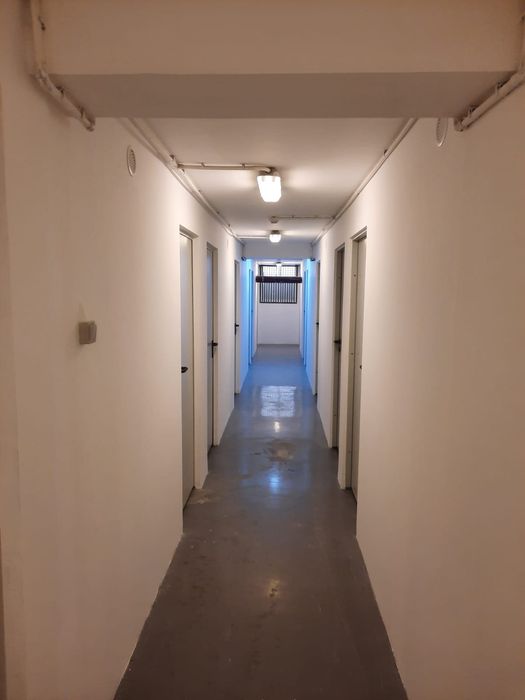 Boxa 3 sau 6 mp Rose Garden