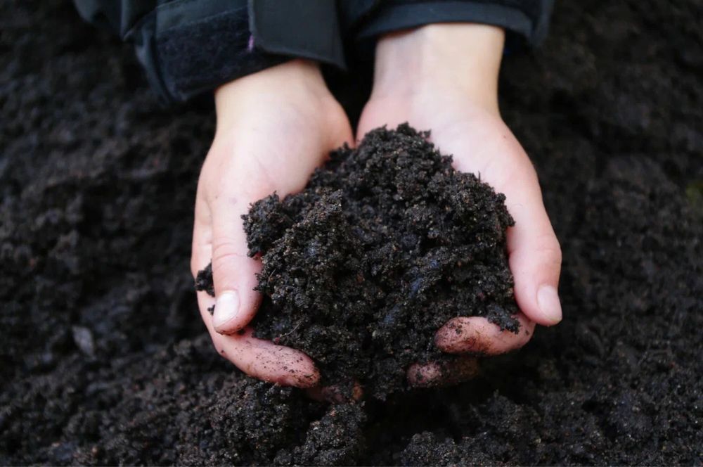 Продаю настоящий чернозём!