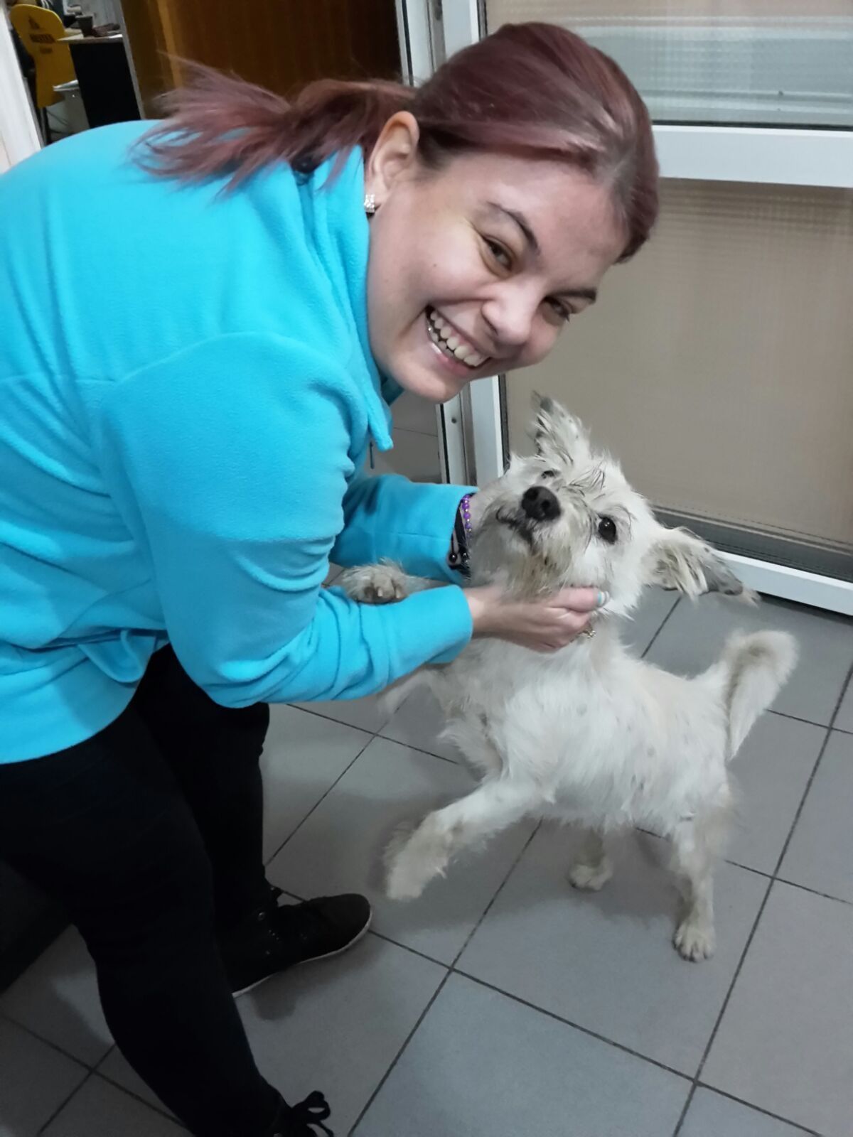 Îngrijesc Animale La Domiciliu Dumneavoastră