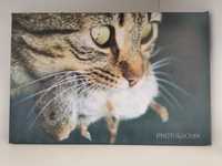 Tablou canvas 20x30cm