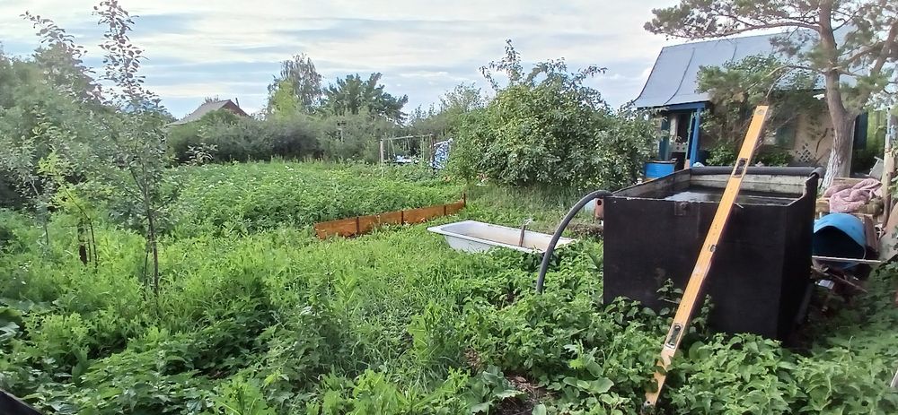 Продаю без торга. Дача на ромашке 8 км от маикудука. СОРТИРОВКА.