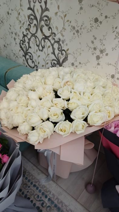 Цветы 101 по низкой цене