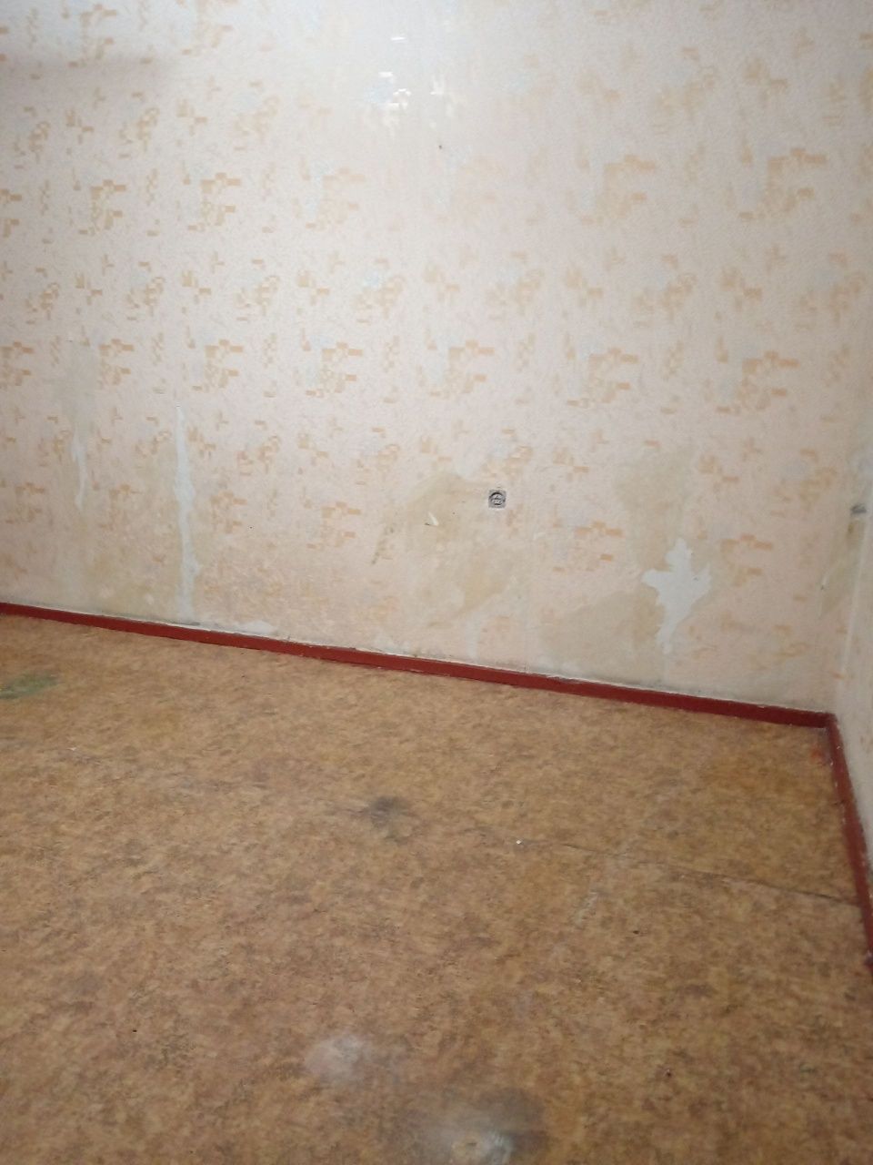 Аренда Квартира 2 хона  Кора камиш 2/1