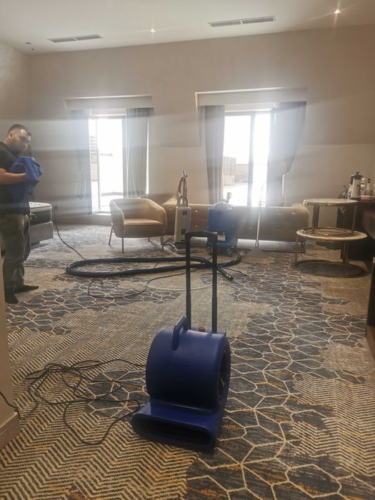 Uy va ofis uchun joyida kimyoviy tozalash. Tez xavfsiz, arzon, sifatli