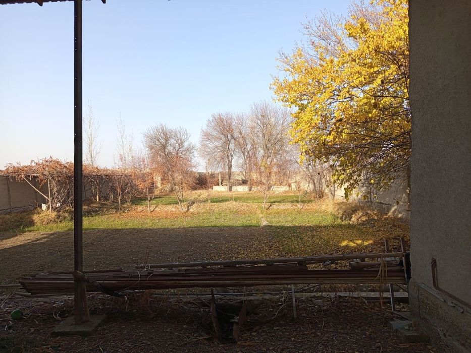 Уй сотилади 10 сутик