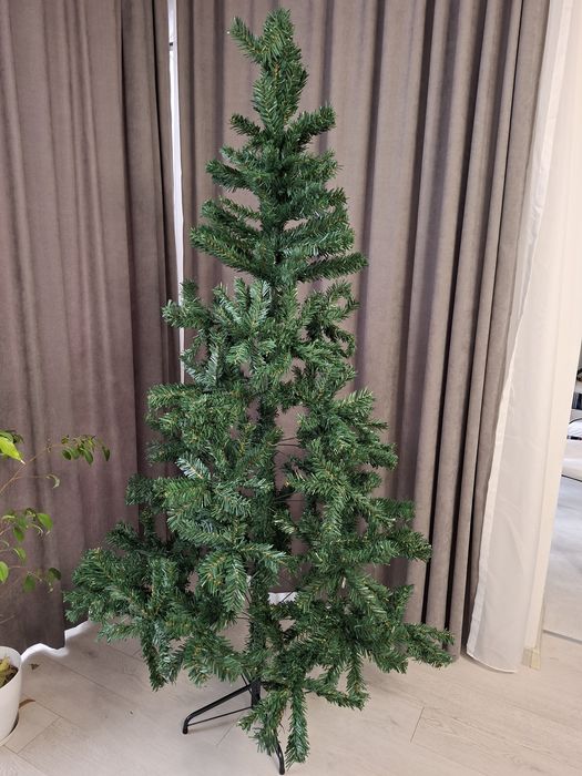 Коледна елха гъста