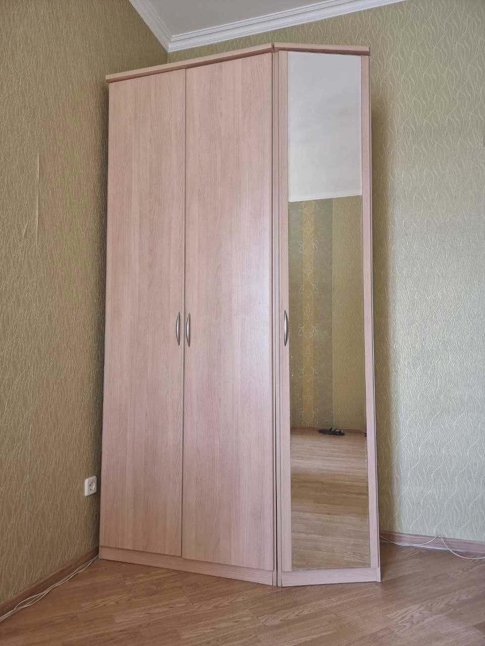 Большой Одежный шкаф плательный, платяной 3 дверный, с зеркалом