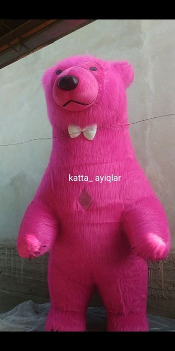 Ayiq  айиклар. Сотилади