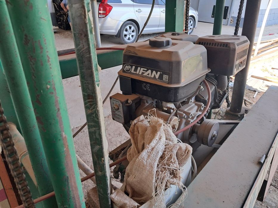 Тайга пилорам в хорошем состоянии