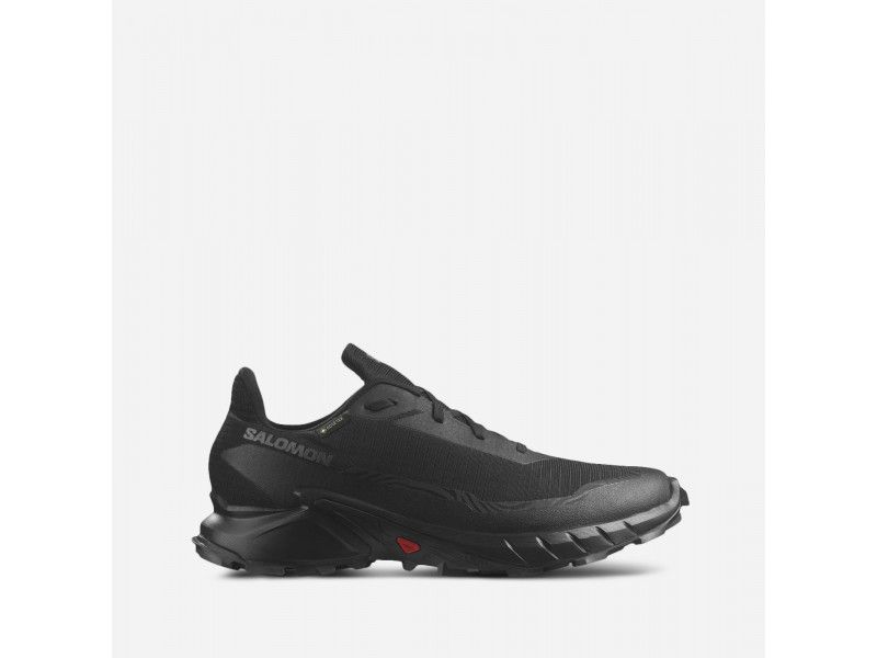 Salomon Alphacross 5 Gore tex  размери - 44 2/3
