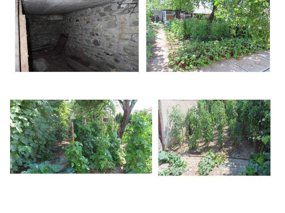 Vând casă în Mediaș 168 mp + curte si grădină