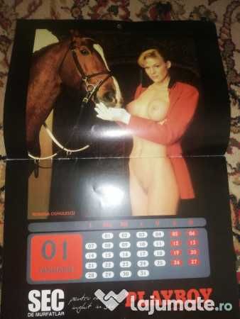 Calendar Playboy 2002 BEST OF de colectie
