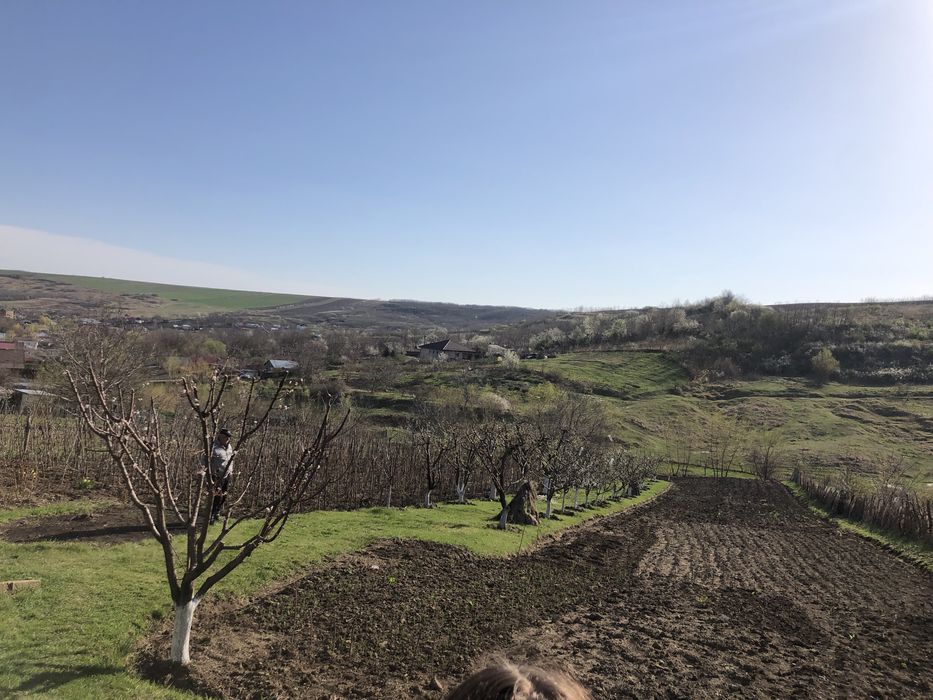 Teren Miroslava-Sat Vorovesti(gaz-curent-asfalt-apa)-INTRAVILAN-