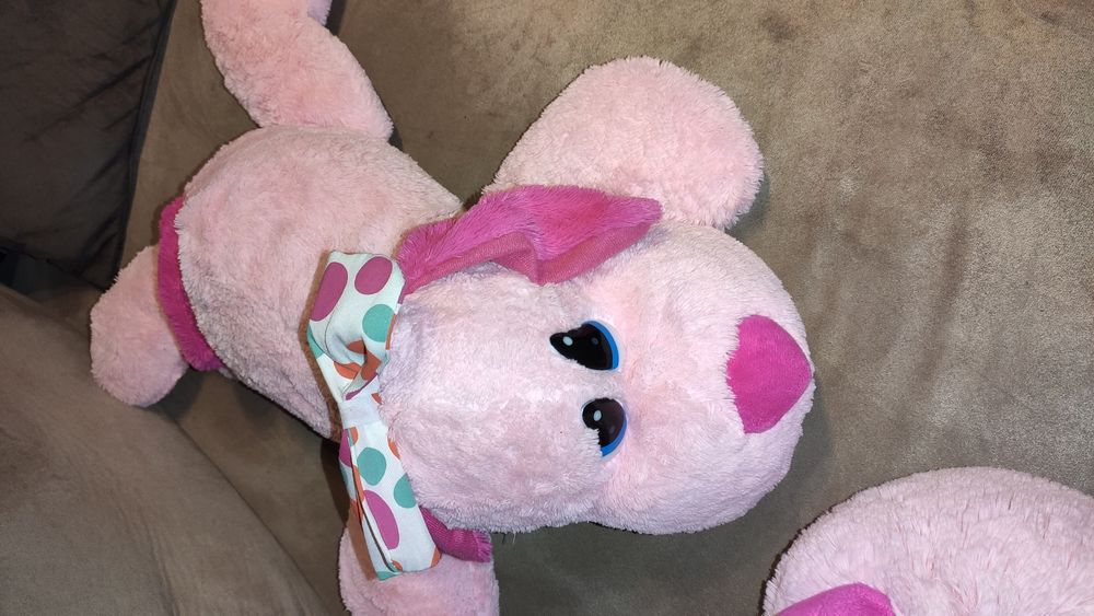 Понито само е налично