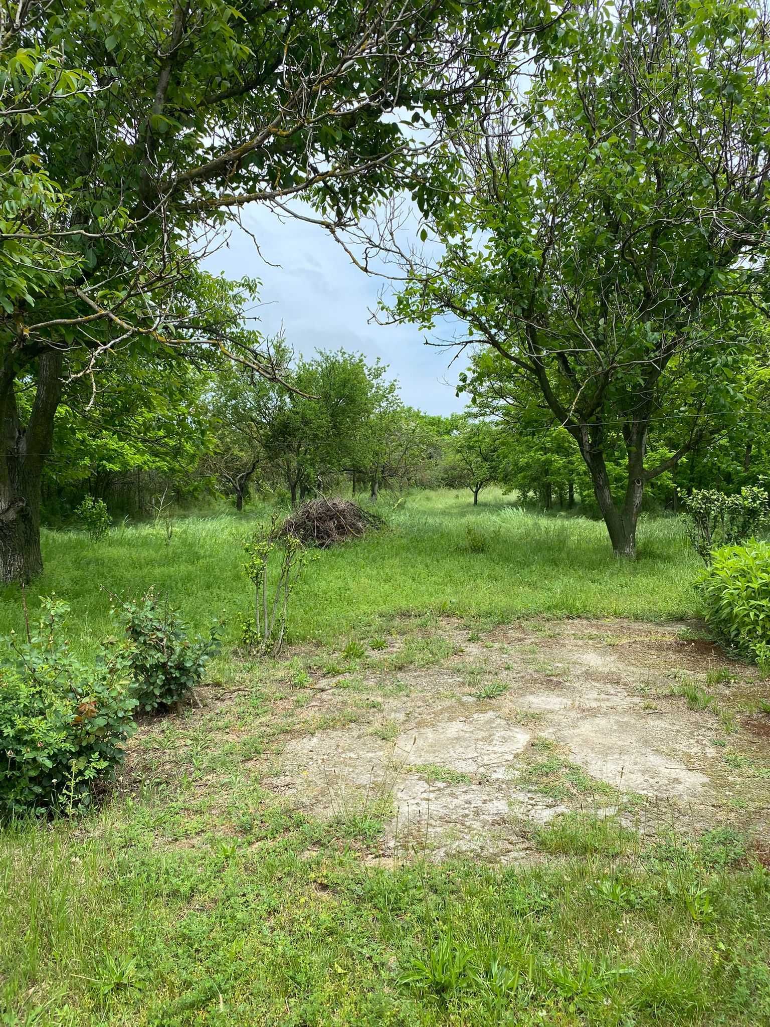 Casă cu Curte Generoasă 2400mp în Obedeni,ComunaBucșani Gata de Locuit