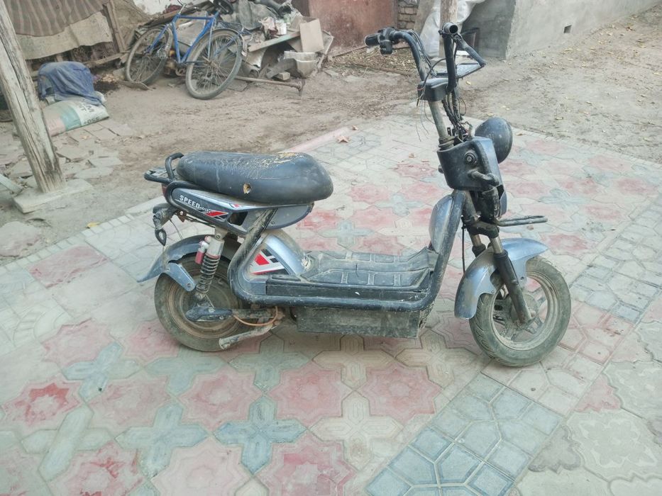 Муравей сотилади